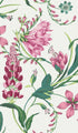 Botanists Scroll Wallpaper in mauve color - pattern number 130297 - by Graham and Brown in the 2025 Exclusives collection