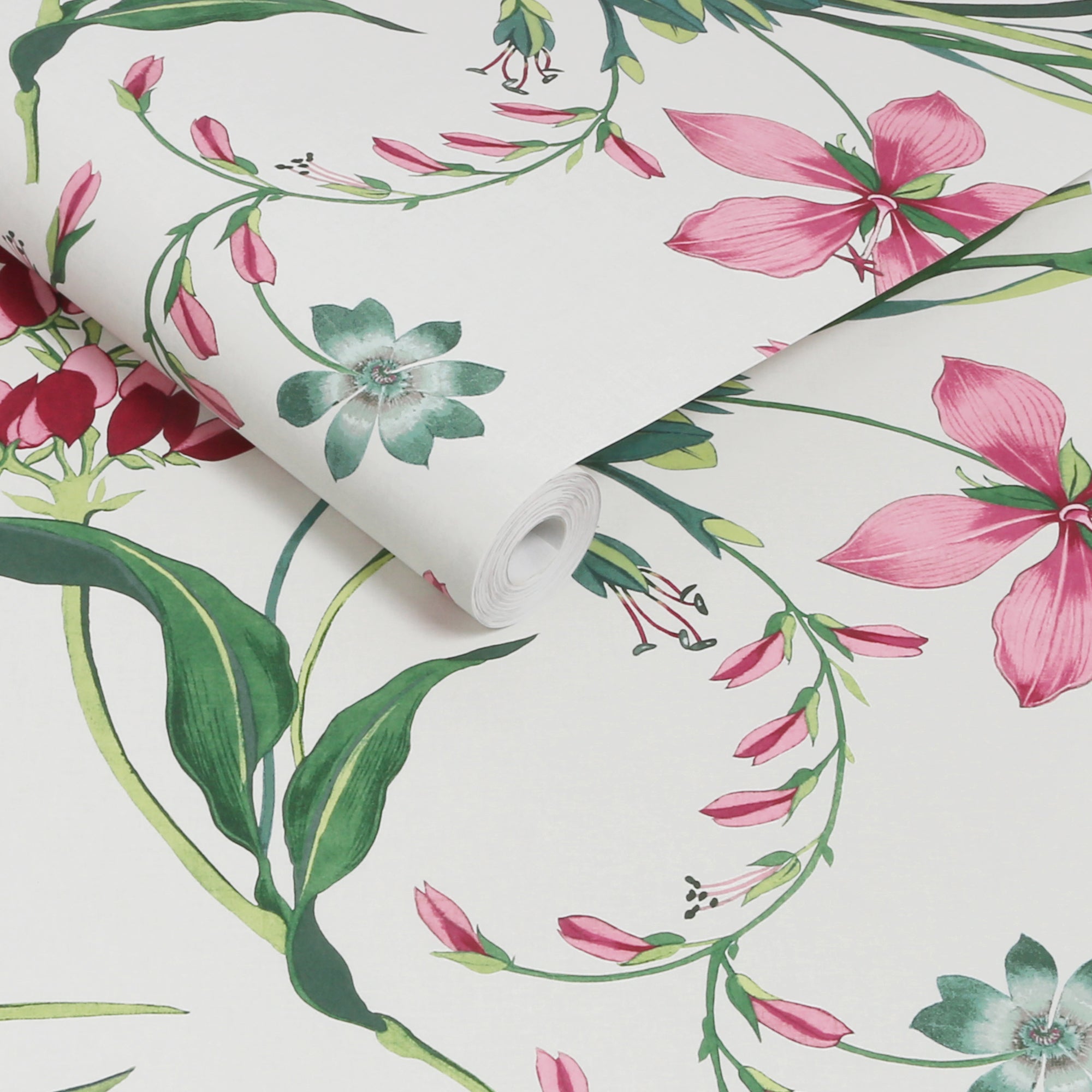 Botanists Scroll Wallpaper in mauve color - pattern number 130297 - by Graham and Brown in the 2025 Exclusives collection