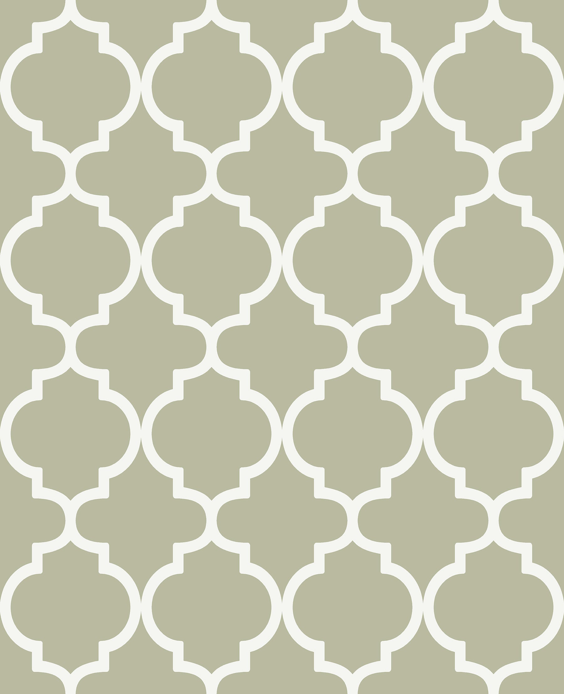Trellia Wallpaper in sage color - pattern number 130299 - by Graham and Brown in the 2025 Exclusives collection