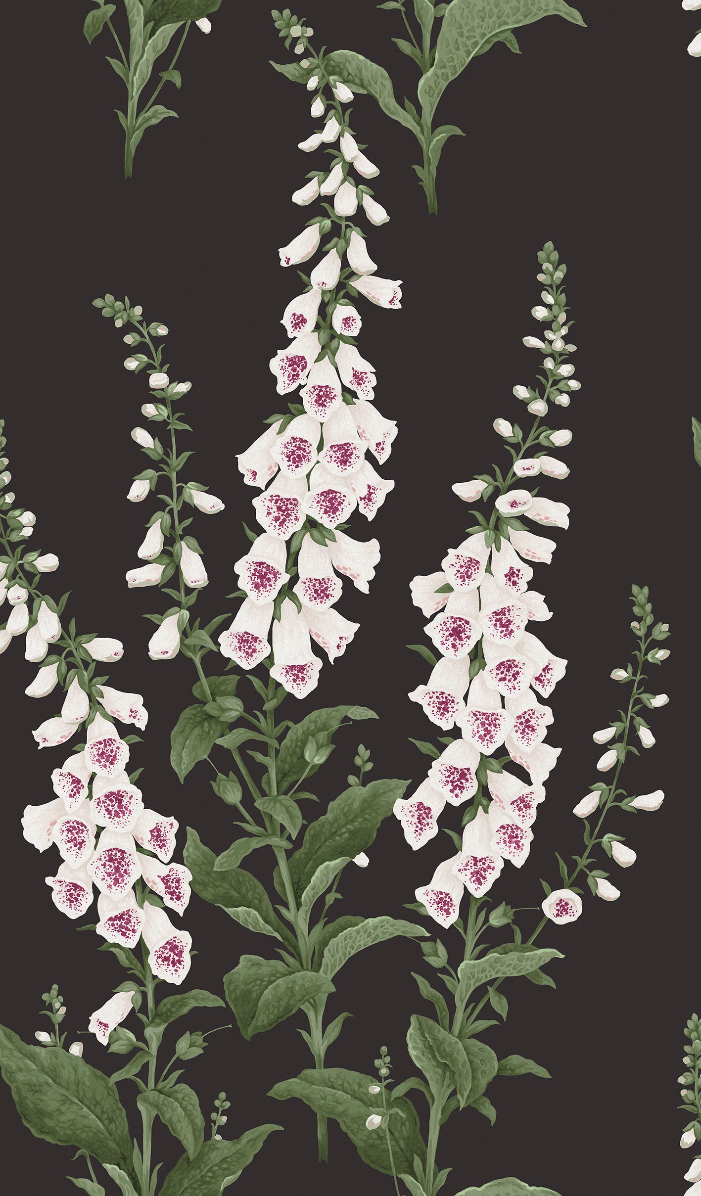 Foxglove Wallpaper in night color - pattern number 130305 - by Graham and Brown in the 2025 Exclusives collection