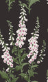 Foxglove Wallpaper in night color - pattern number 130305 - by Graham and Brown in the 2025 Exclusives collection