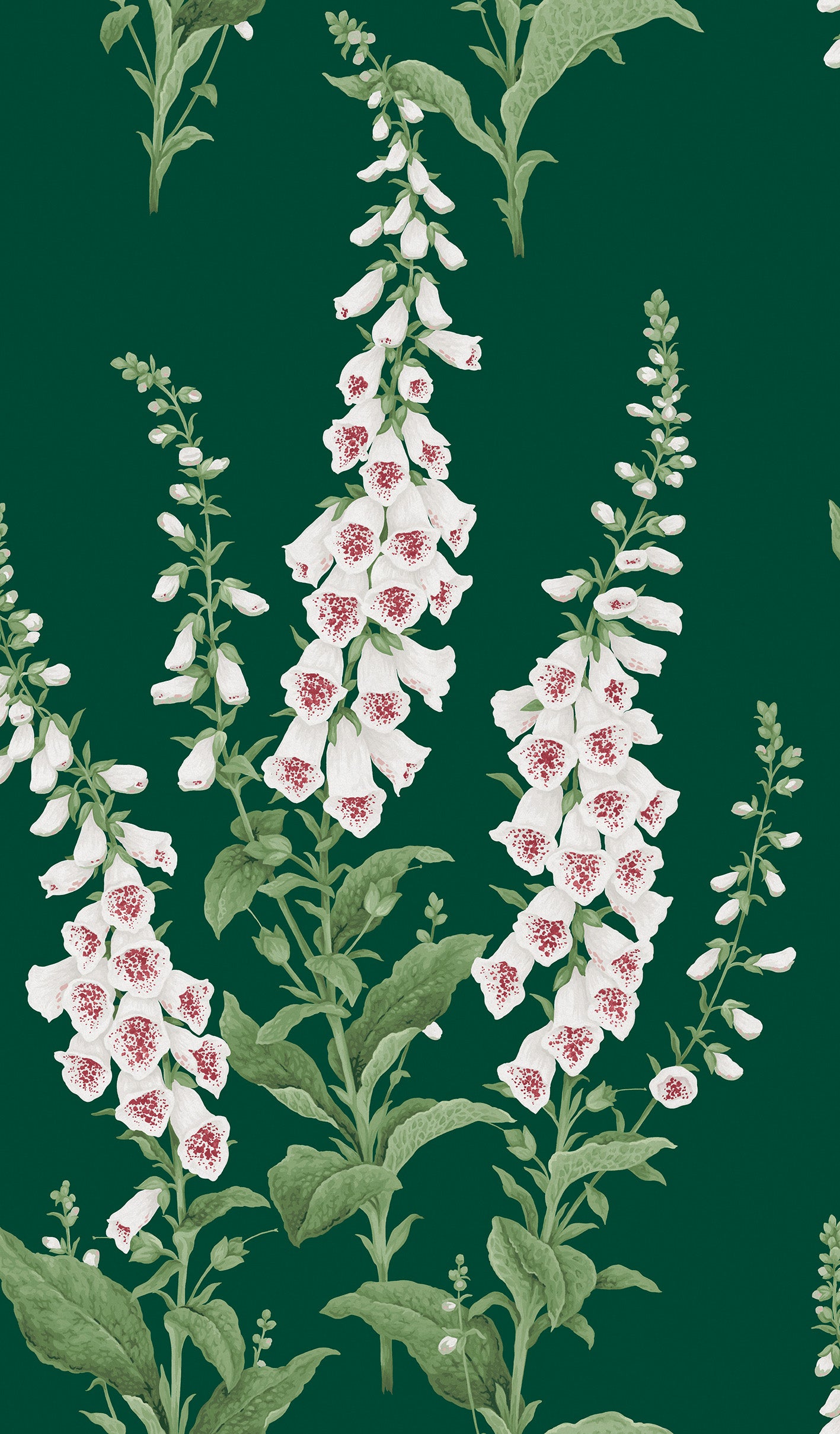 Foxglove Wallpaper in emerald color - pattern number 130306 - by Graham and Brown in the 2025 Exclusives collection