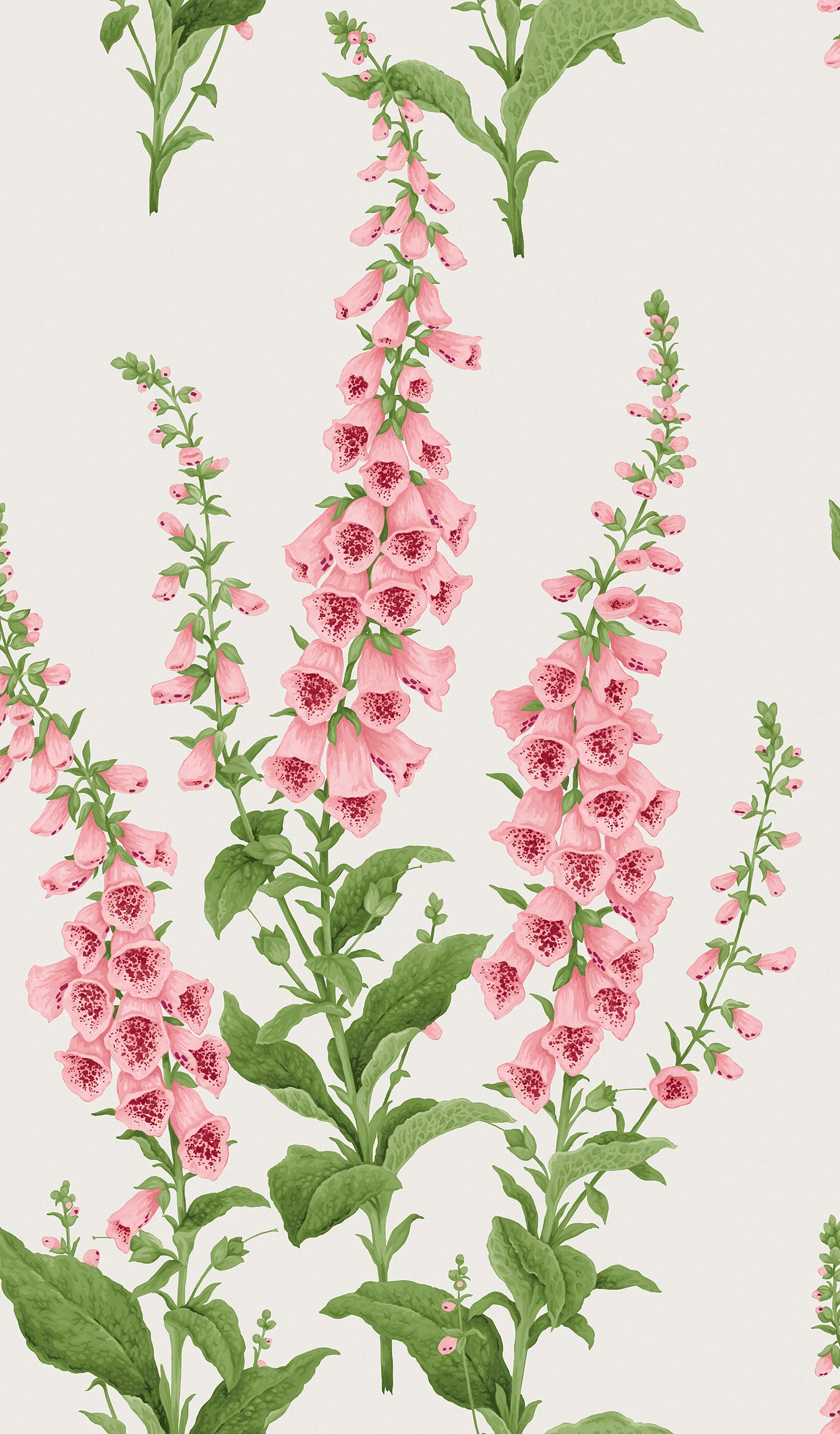 Foxglove Wallpaper in day color - pattern number 130307 - by Graham and Brown in the 2025 Exclusives collection