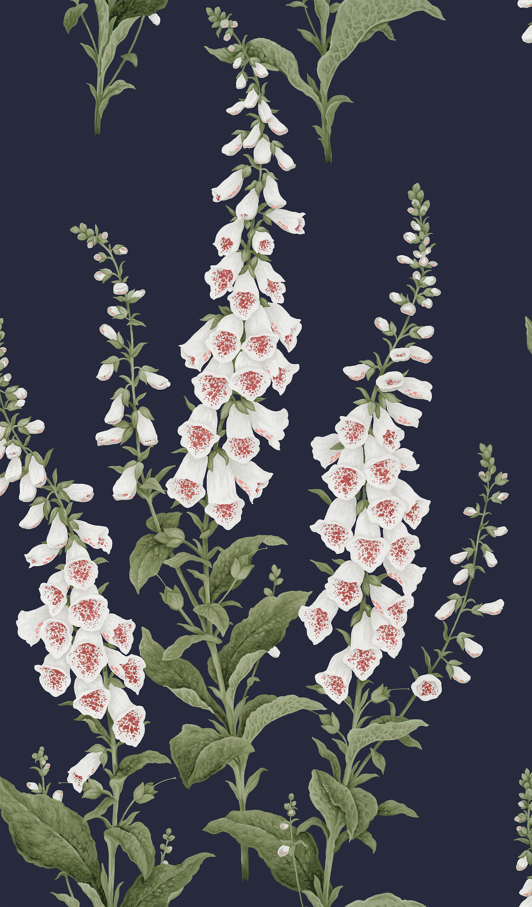 Foxglove Wallpaper in midnight color - pattern number 130308 - by Graham and Brown in the 2025 Exclusives collection