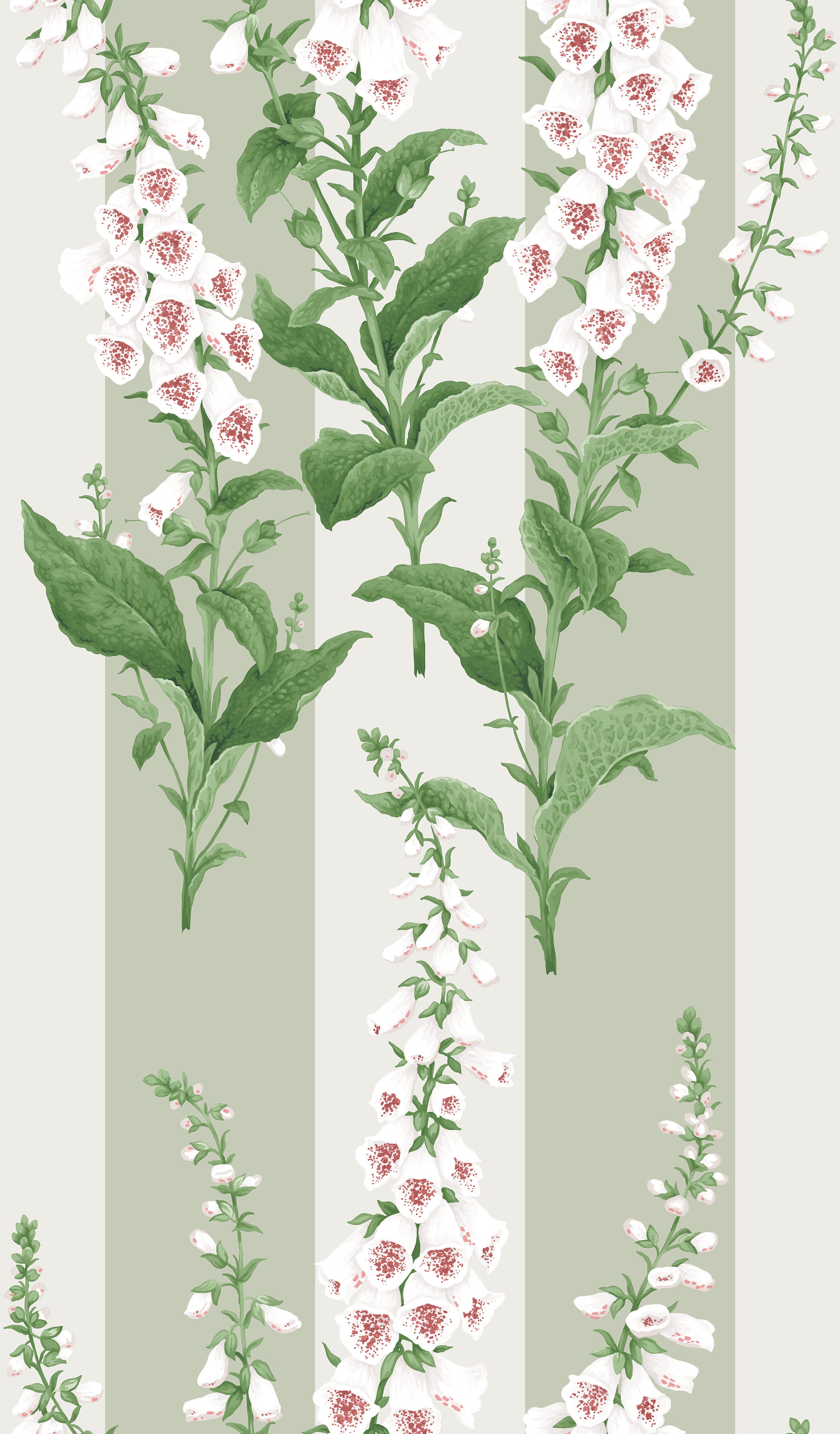 Foxglove Wallpaper in sage color - pattern number 130309 - by Graham and Brown in the 2025 Exclusives collection
