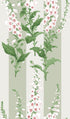 Foxglove Wallpaper in sage color - pattern number 130309 - by Graham and Brown in the 2025 Exclusives collection