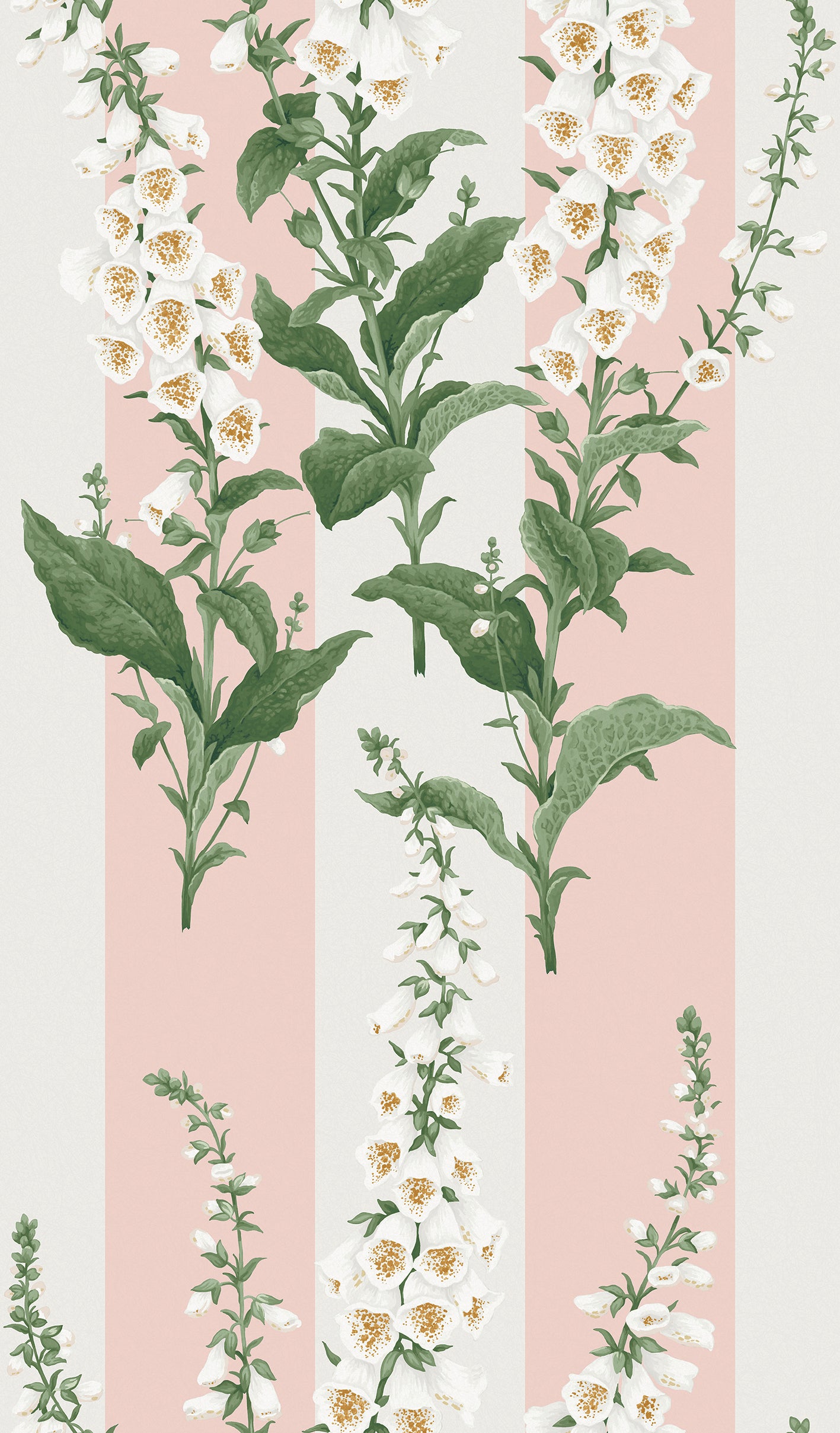 Foxglove Wallpaper in powder color - pattern number 130310 - by Graham and Brown in the 2025 Exclusives collection