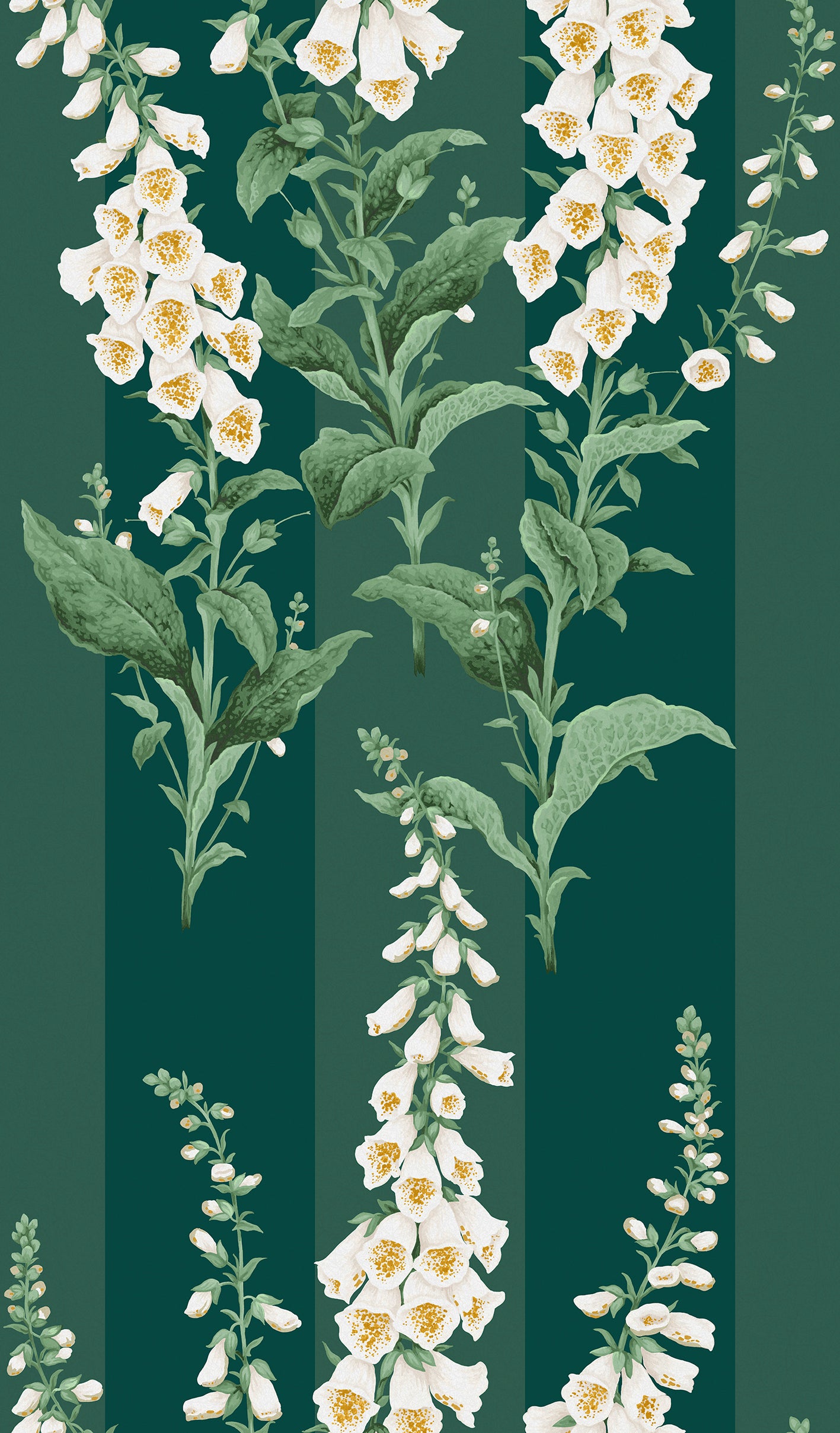 Foxglove Wallpaper in teal color - pattern number 130311 - by Graham and Brown in the 2025 Exclusives collection
