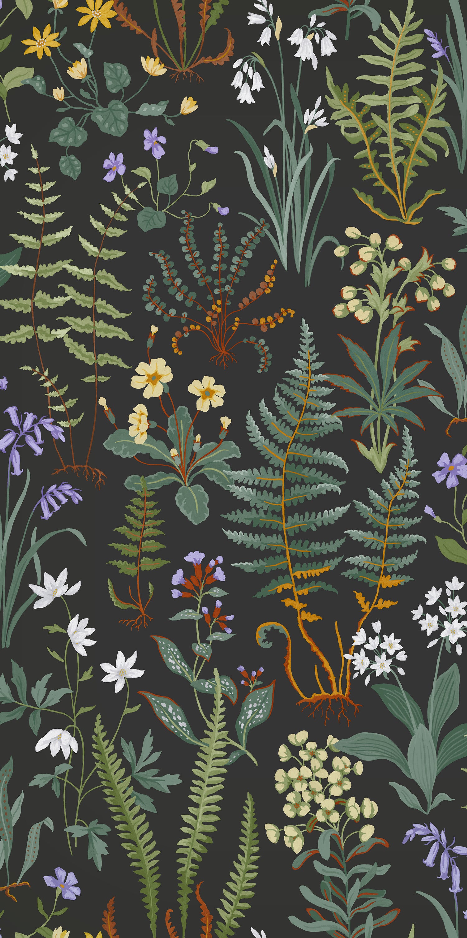 Oshibana Wallpaper in night color - pattern number 130312 - by Graham and Brown in the 2025 Exclusives collection