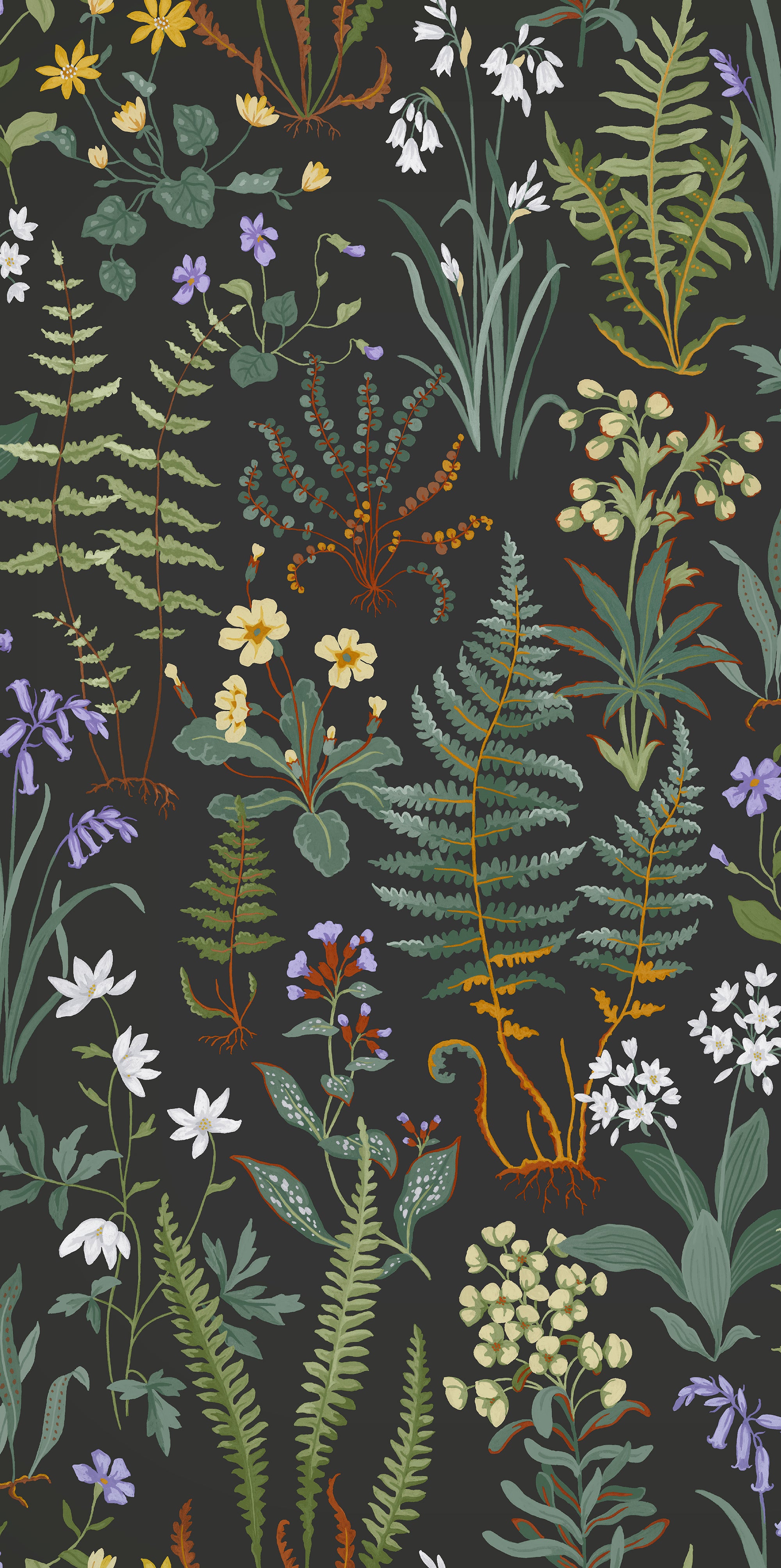 Oshibana Wallpaper in night color - pattern number 130312 - by Graham and Brown in the 2025 Exclusives collection