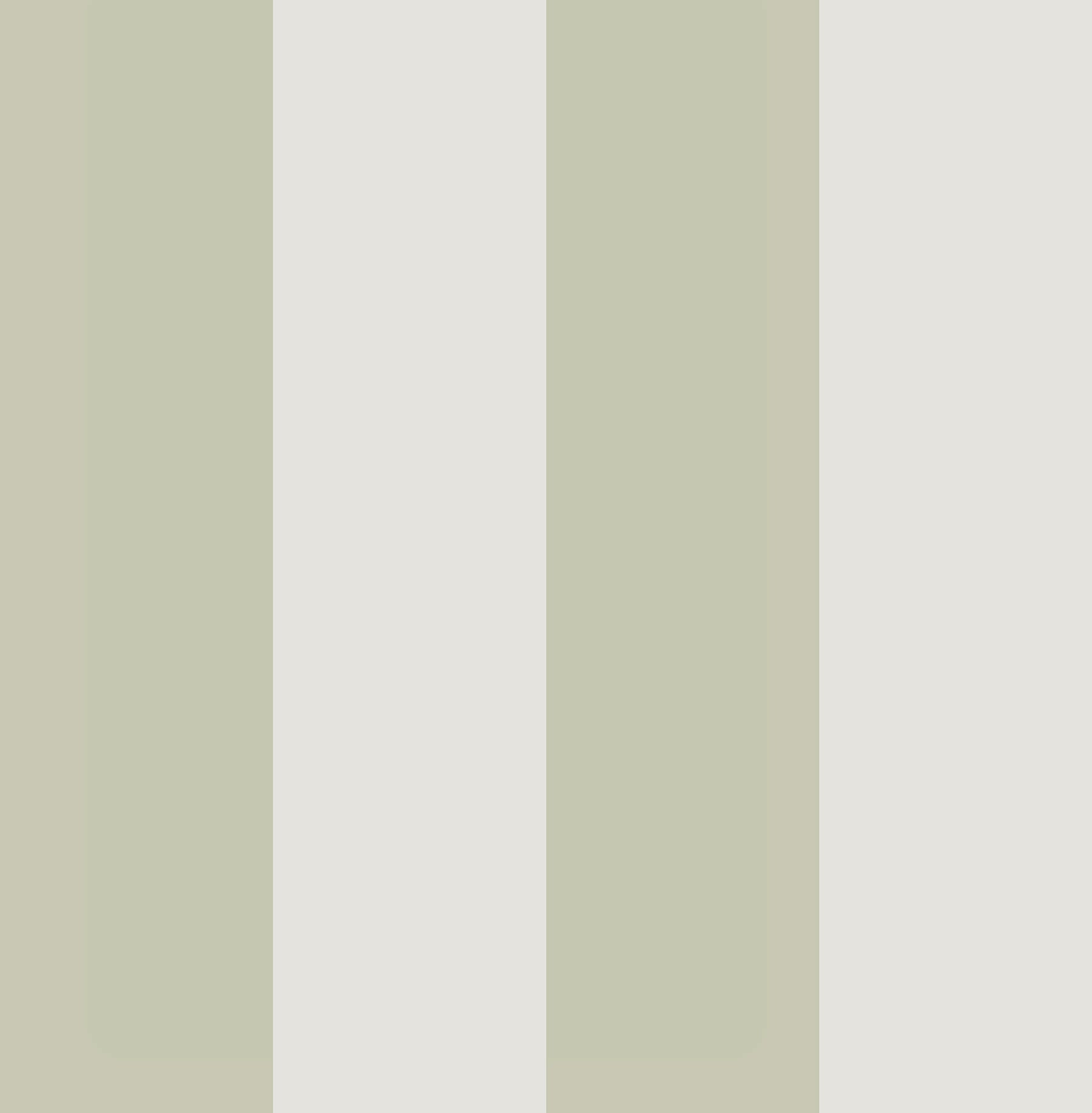 Quartet Wallpaper in sage color - pattern number 131442 - by Graham and Brown in the 2025 Exclusives collection