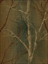 Tree Trunks fabric in 41001 color - pattern number SG41001 - by Pelican Prints in the Sage II collection