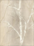 Tree Trunks wallpaper in 41006 color - pattern number SG41006 - by Pelican Prints in the Sage II collection