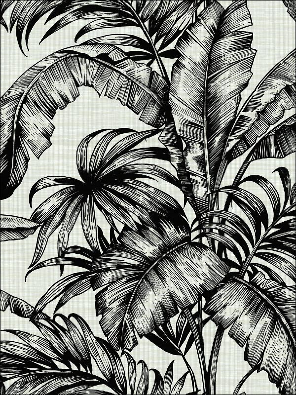 Tropical Leaves wallpaper in 41400 color - pattern number SG41400 - by Pelican Prints in the Sage II collection