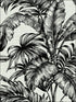 Tropical Leaves wallpaper in 41400 color - pattern number SG41400 - by Pelican Prints in the Sage II collection