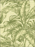 Tropical Leaves wallpaper in 41404 color - pattern number SG41404 - by Pelican Prints in the Sage II collection
