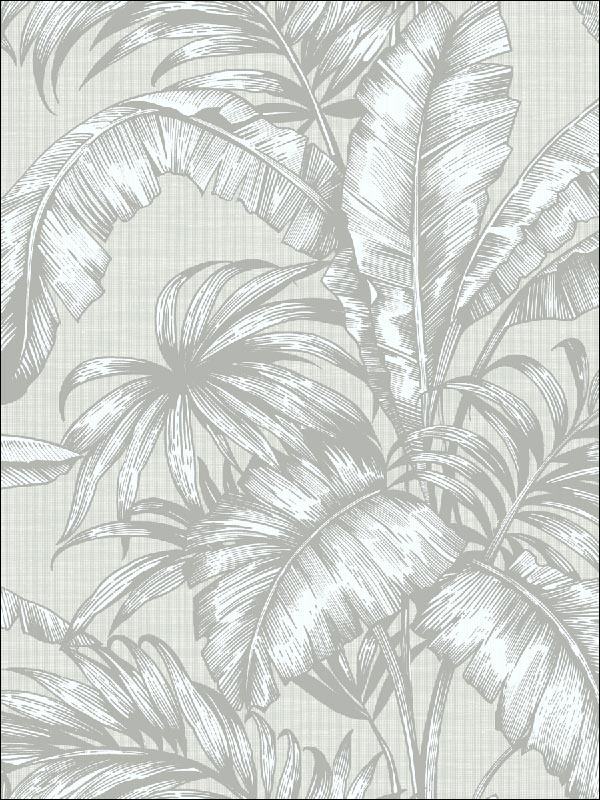 Tropical Leaves wallpaper in 41408 color - pattern number SG41408 - by Pelican Prints in the Sage II collection