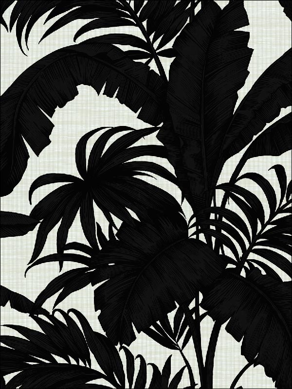 Tropical Leaves wallpaper in 41410 color - pattern number SG41410 - by Pelican Prints in the Sage II collection