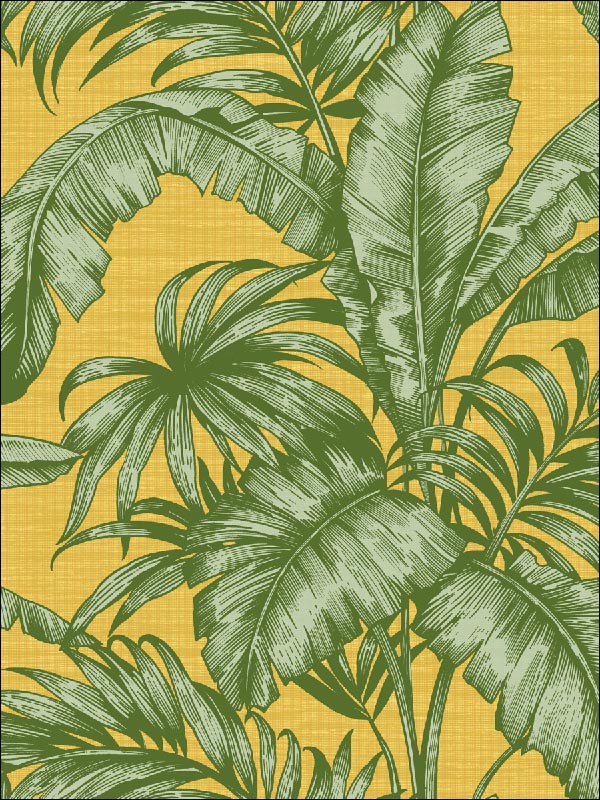 Tropical Leaves wallpaper in 41414 color - pattern number SG41414 - by Pelican Prints in the Sage II collection