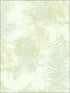 Animal Skins wallpaper in 41504 color - pattern number SG41504 - by Pelican Prints in the Sage II collection