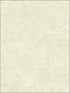 Faux Finish wallpaper in 42204 color - pattern number SG42204 - by Pelican Prints in the Sage II collection
