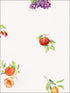 Fruit Recipe fabric in greens oranges pinks color - pattern number FK26906 - by Patton Norwall in the Fresh Kitchens 5 collection