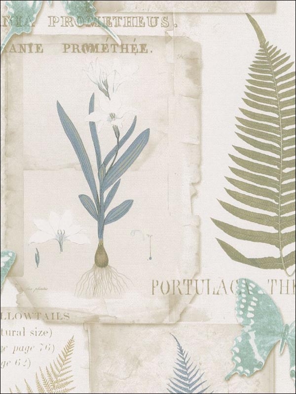 Parchment Ferns wallpaper in blues browns color - pattern number FK34414 - by Patton Norwall in the Fresh Kitchens 5 collection
