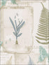 Parchment Ferns wallpaper in blues browns color - pattern number FK34414 - by Patton Norwall in the Fresh Kitchens 5 collection