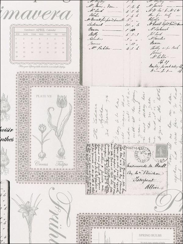 Printemps Script wallpaper in greys whites color - pattern number FK34417 - by Patton Norwall in the Fresh Kitchens 5 collection