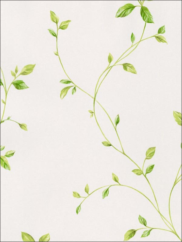 Watercolor Leaves wallpaper in greens whites color - pattern number KC28550 - by Patton Norwall in the Fresh Kitchens 5 collection