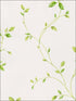 Watercolor Leaves wallpaper in greens whites color - pattern number KC28550 - by Patton Norwall in the Fresh Kitchens 5 collection