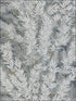 Florencecourt fabric in charcoal color - pattern number 100/1004.CS.0 - by Cole and Son in the Archive Anthology collection