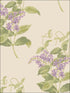 Madras Violet fabric in olive and lavender color - pattern number 100/12056.CS.0 - by Cole and Son in the Archive Anthology collection