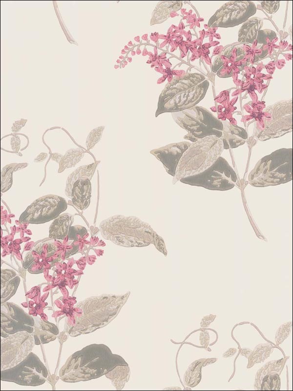 Madras Violet fabric in pink color - pattern number 100/12058.CS.0 - by Cole and Son in the Archive Anthology collection