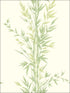 Bamboo wallpaper in green color - pattern number 100/5023.CS.0 - by Cole and Son in the Archive Anthology collection