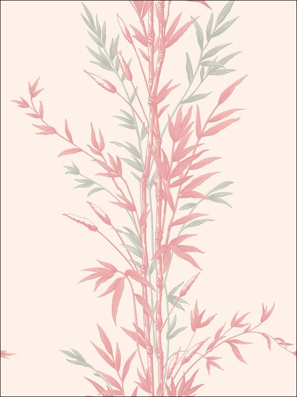 Bamboo wallpaper in pink color - pattern number 100/5024.CS.0 - by Cole and Son in the Archive Anthology collection