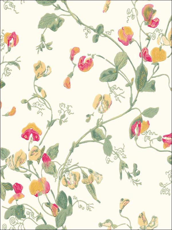 Sweet Pea wallpaper in pink and yellow color - pattern number 100/6027.CS.0 - by Cole and Son in the Archive Anthology collection