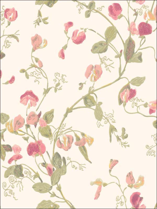 Sweet Pea wallpaper in pink color - pattern number 100/6028.CS.0 - by Cole and Son in the Archive Anthology collection