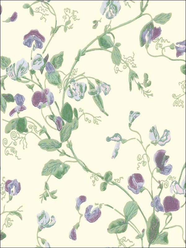 Sweet Pea wallpaper in violet color - pattern number 100/6030.CS.0 - by Cole and Son in the Archive Anthology collection