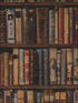 Library fabric in multi color - pattern number AMW10042.410.0 - by Andrew Martin in the Navigator collection