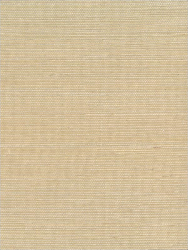 Sisal wallpaper in neutrals color - pattern number NA206 - by Seabrook in the Natural Resource Seabrook collection