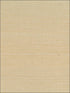 Sisal wallpaper in neutrals color - pattern number NA206 - by Seabrook in the Natural Resource Seabrook collection