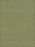 Sisal fabric in green color - pattern number NA208 - by Seabrook in the Natural Resource Seabrook collection