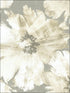 Curie Abstract Floral fabric in metallic silver and off white color - pattern number AV50008 - by Seabrook in the Avant Garde by Seabrook Designs collection