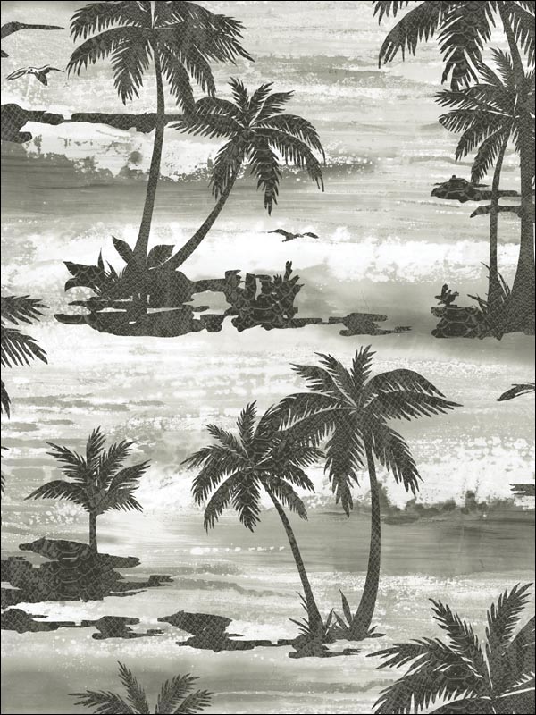 Moseley Palm Trees wallpaper in black and grey color - pattern number AV51600 - by Seabrook in the Avant Garde by Seabrook Designs collection