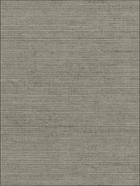 Extra Fine Sisal fabric in grey color - pattern number 488410 - by Patton Norwall in the Decorator Grasscloth II collection