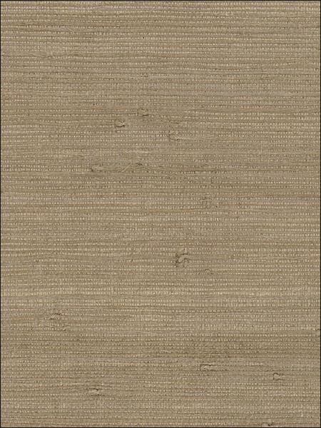 Fine Jute fabric in cream taupe color - pattern number 488431 - by Patton Norwall in the Decorator Grasscloth II collection