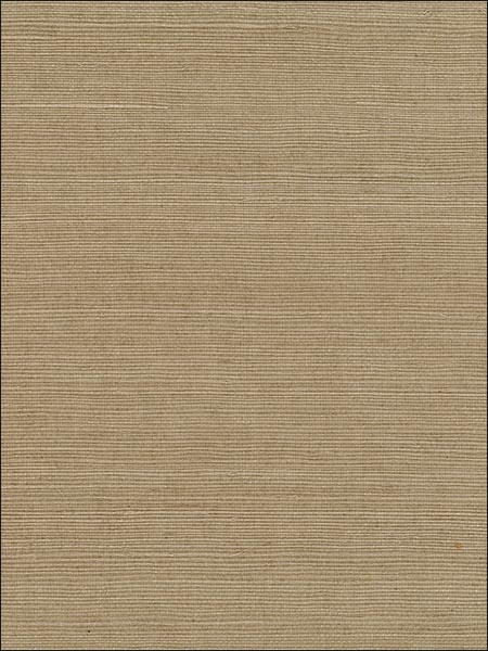 Fine Sisal fabric in dark beige color - pattern number 488445 - by Patton Norwall in the Decorator Grasscloth II collection
