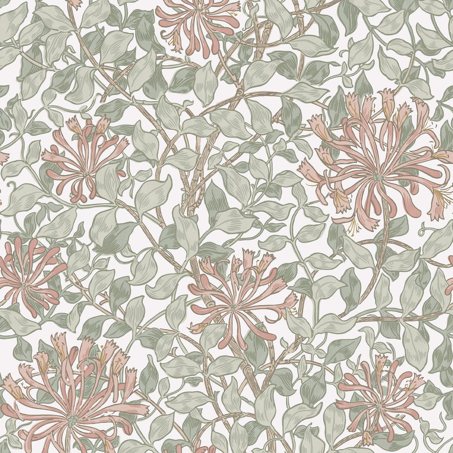 Honeysuckle wallpaper in honeysuckle maytime color - pattern number 140488 - by Graham and Brown in the William Morris At Home SS25 collection