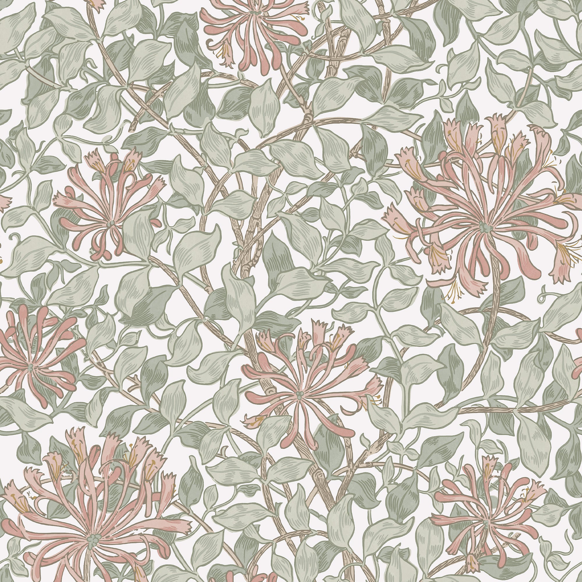 Honeysuckle wallpaper in honeysuckle maytime color - pattern number 140488 - by Graham and Brown in the William Morris At Home SS25 collection